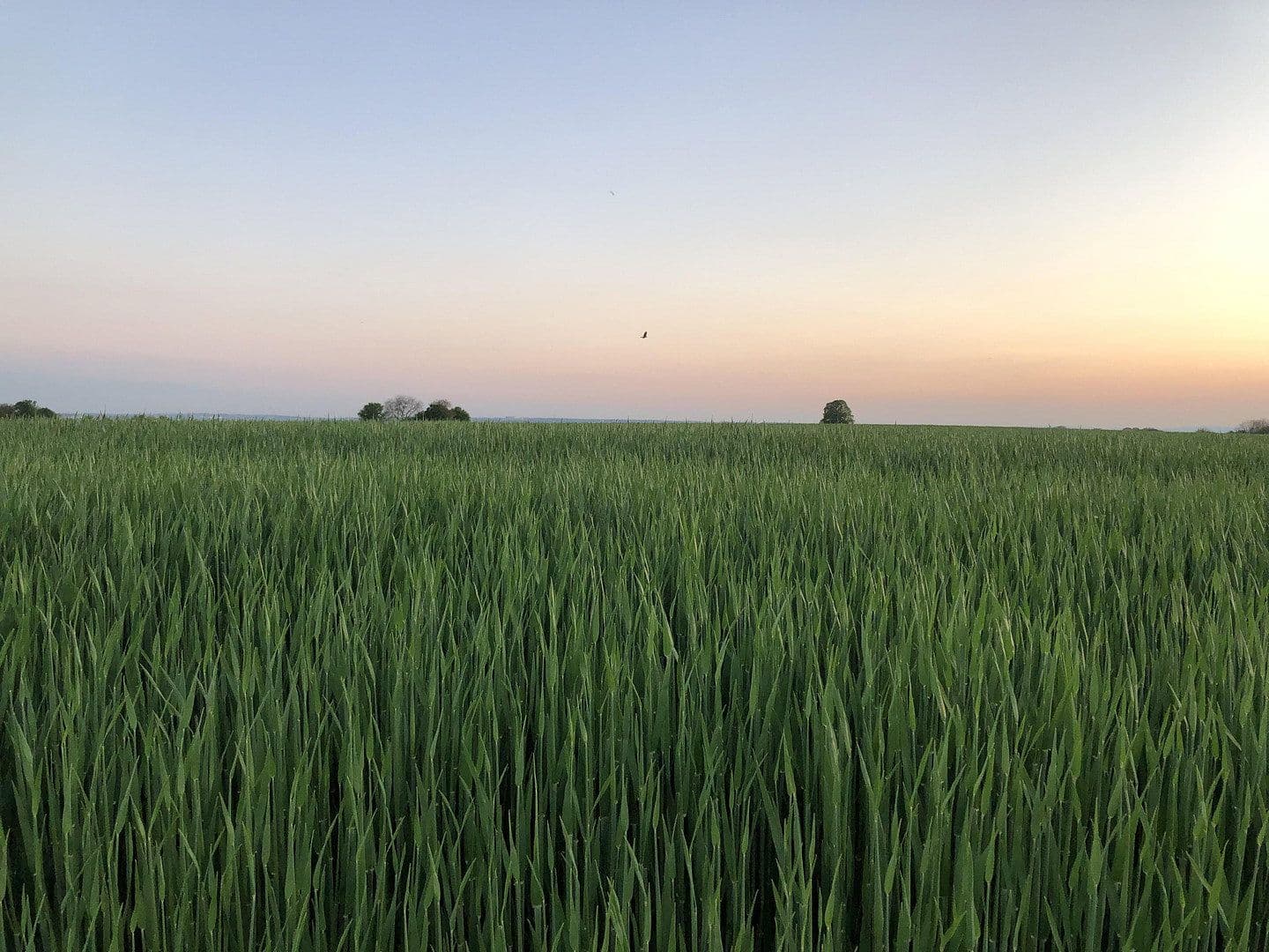 house for sale, 192 m², Wiesbaden, Hesse house for sale, 192 m², Wiesbaden, Hesse