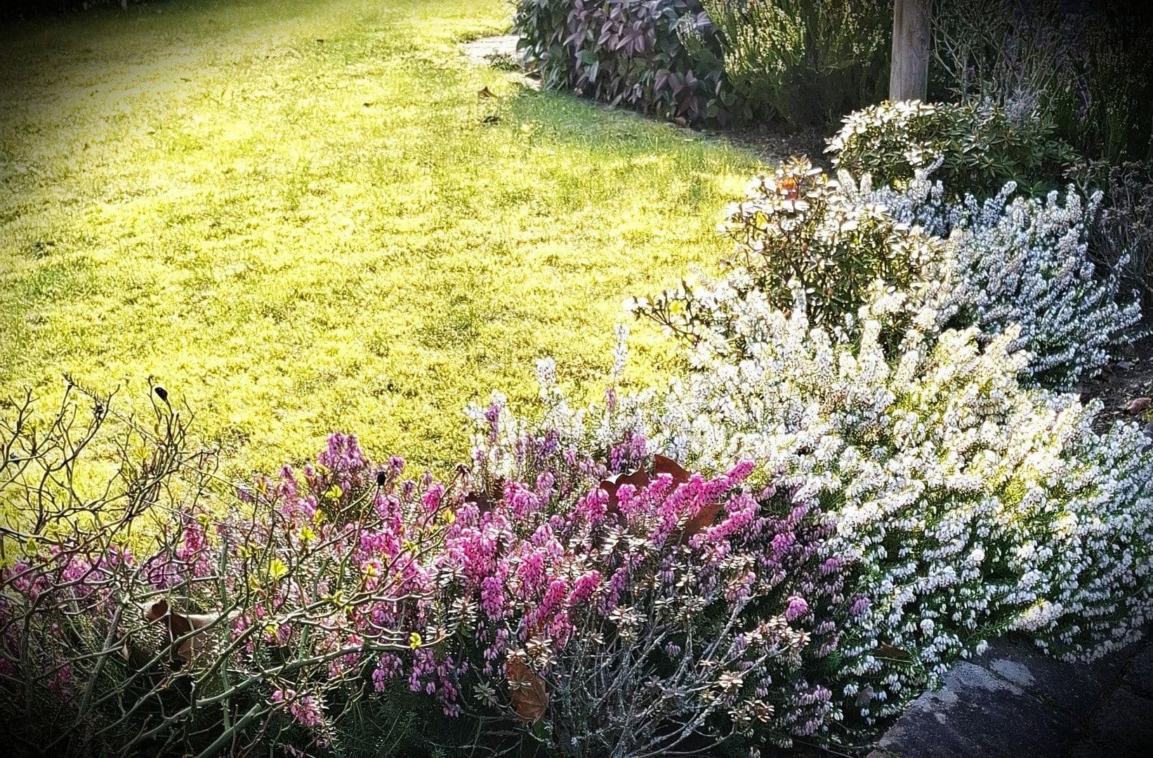 house for sale, 95 m², Seevetal, Lower Saxony house for sale, 95 m², Seevetal, Lower Saxony