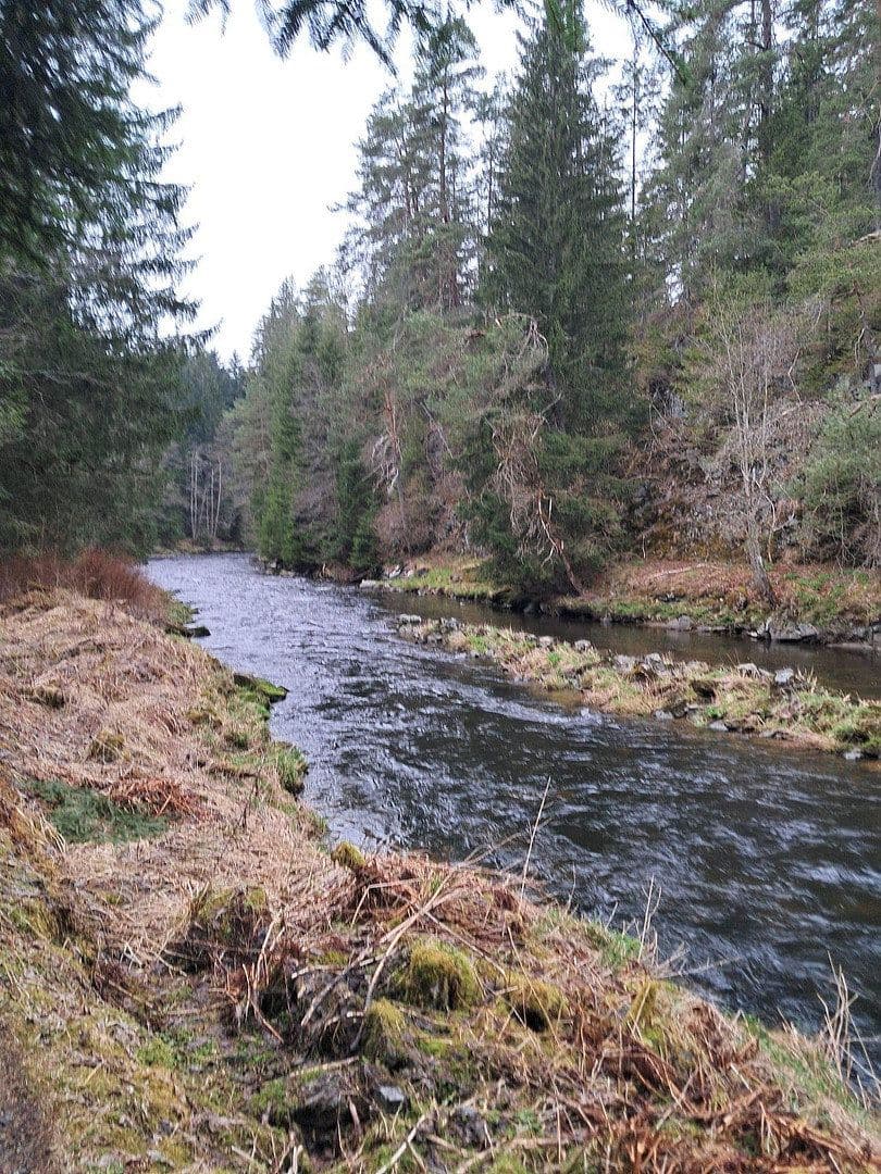 house for sale, 280 m², Regen, Bavaria house for sale, 280 m², Regen, Bavaria