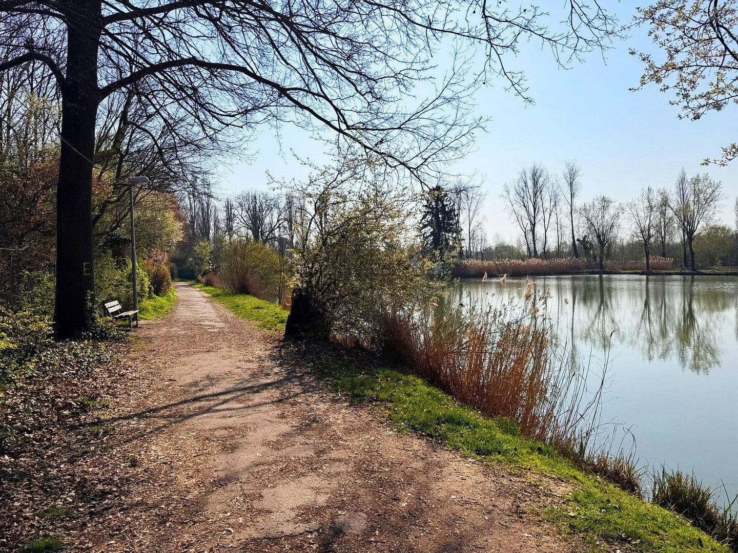 house for sale, 153 m², Ludwigshafen-Oggersheim, Rhineland-Palatinate house for sale, 153 m², Ludwigshafen-Oggersheim, Rhineland-Palatinate