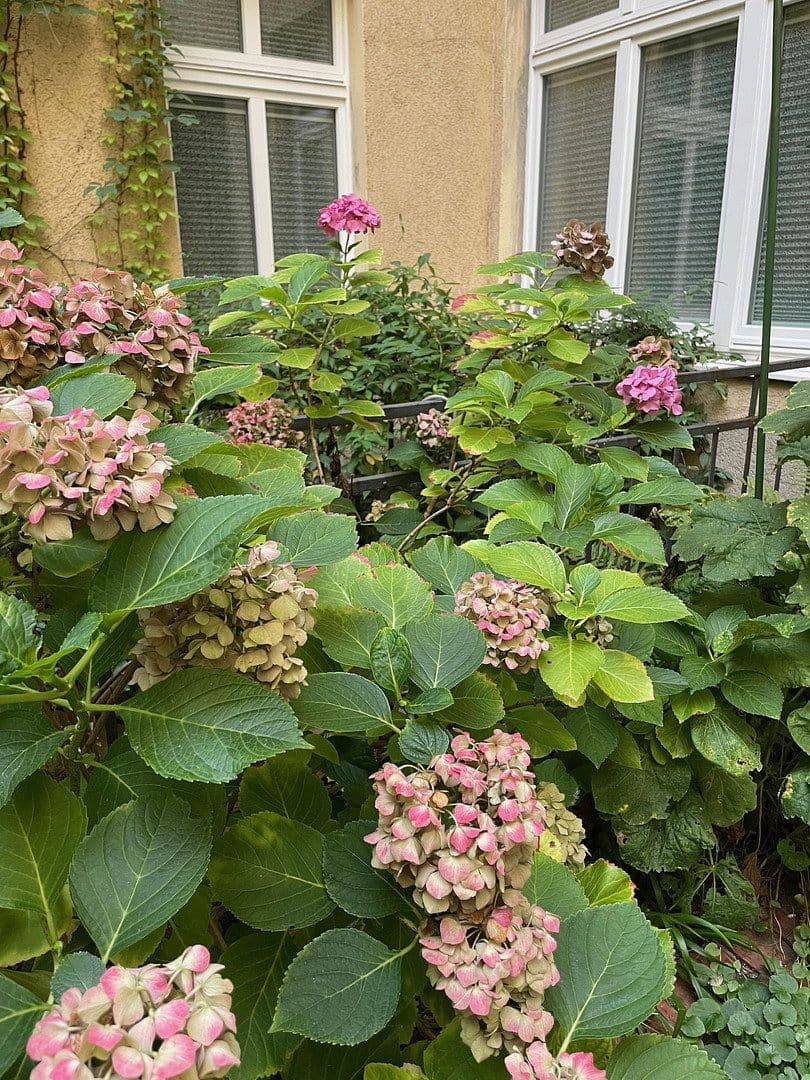 office to rent, 135 m², Berlin, Berlin office to rent, 135 m², Berlin, Berlin