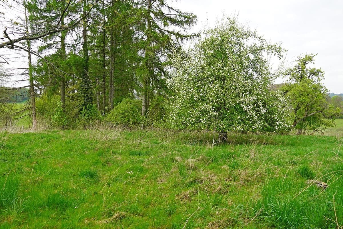 house for sale, 171 m², Untersteinbach 1, Bergisch Gladbach, North Rhine-Westphalia house for sale, 171 m², Untersteinbach 1, Bergisch Gladbach, North Rhine-Westphalia