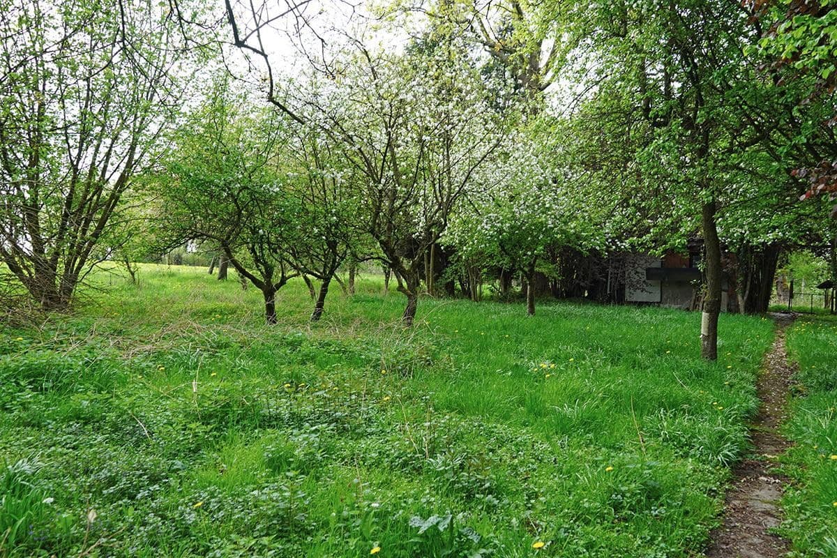 house for sale, 171 m², Untersteinbach 1, Bergisch Gladbach, North Rhine-Westphalia house for sale, 171 m², Untersteinbach 1, Bergisch Gladbach, North Rhine-Westphalia