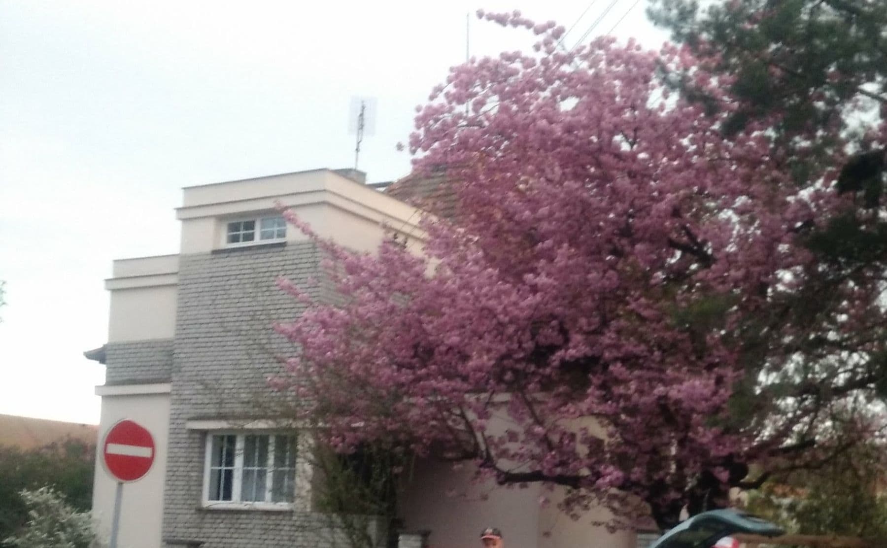 house to rent, 150 m², Slovenská, Přeštice, Plzeňský Region house to rent, 150 m², Slovenská, Přeštice, Plzeňský Region