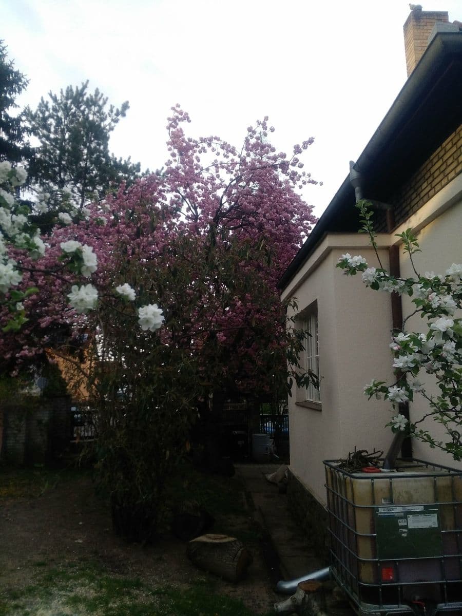 house to rent, 150 m², Slovenská, Přeštice, Plzeňský Region house to rent, 150 m², Slovenská, Přeštice, Plzeňský Region