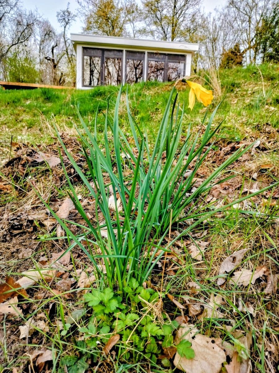 plot to rent, 639 m², Prague, Prague plot to rent, 639 m², Prague, Prague