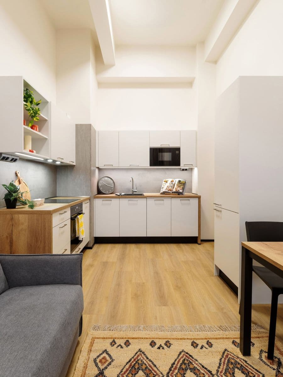 1 bedroom with open-plan kitchen flat to rent, 50 m², Poděbradská, Prague, Prague 1 bedroom with open-plan kitchen flat to rent, 50 m², Poděbradská, Prague, Prague