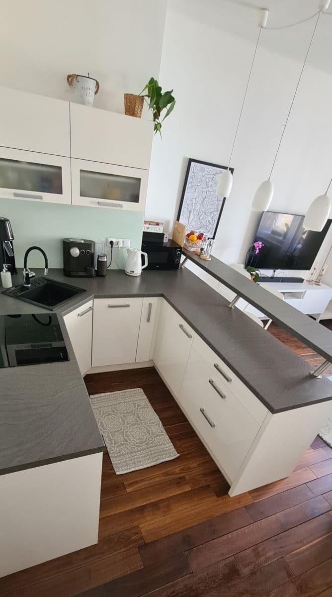 1 bedroom with open-plan kitchen flat to rent, 45 m², Buchovcova, Prague, Prague 1 bedroom with open-plan kitchen flat to rent, 45 m², Buchovcova, Prague, Prague