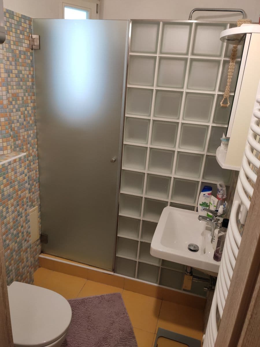 Studio flat to rent, 22 m², Sportovní, Prague, Prague Studio flat to rent, 22 m², Sportovní, Prague, Prague