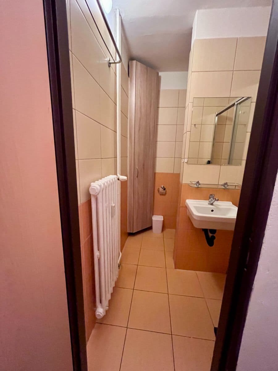 Studio flat to rent, 25 m², Částkova, Plzeň, Plzeňský Region Studio flat to rent, 25 m², Částkova, Plzeň, Plzeňský Region