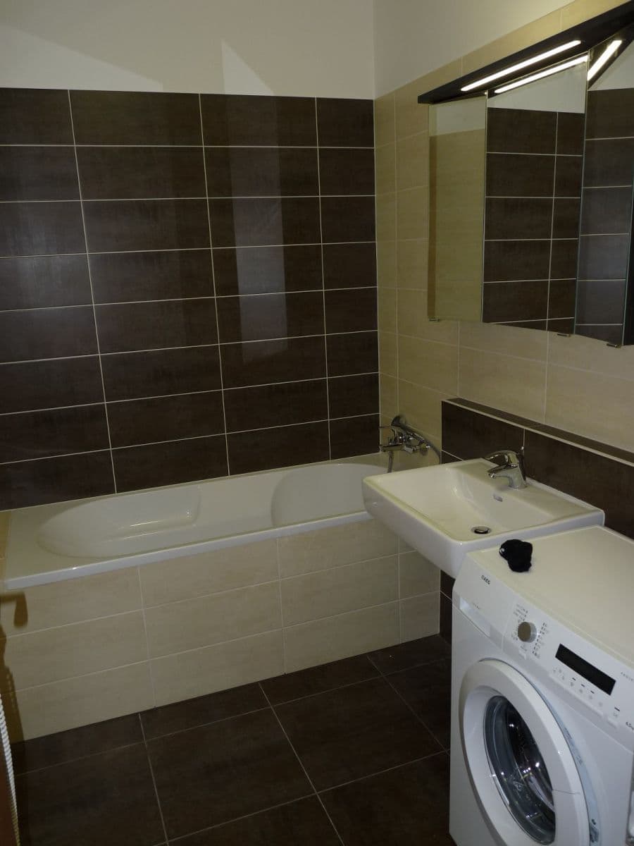 1 bedroom with open-plan kitchen flat to rent, 55 m², U Slovanky, Prague, Prague 1 bedroom with open-plan kitchen flat to rent, 55 m², U Slovanky, Prague, Prague