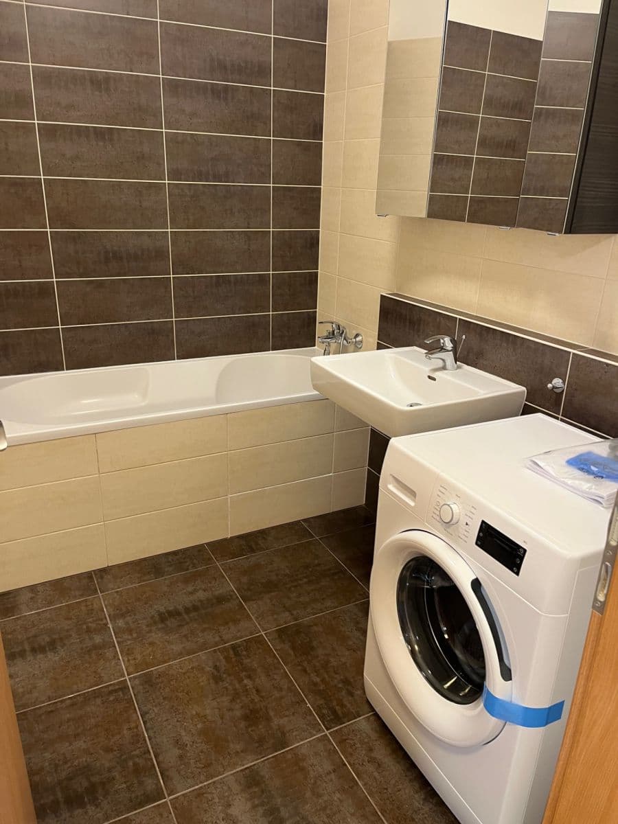 1 bedroom with open-plan kitchen flat to rent, 55 m², U Slovanky, Prague, Prague 1 bedroom with open-plan kitchen flat to rent, 55 m², U Slovanky, Prague, Prague