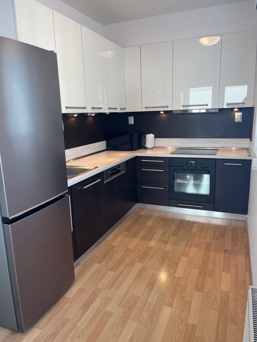 1 bedroom with open-plan kitchen flat to rent, 55 m², U Slovanky, Prague, Prague 1 bedroom with open-plan kitchen flat to rent, 55 m², U Slovanky, Prague, Prague