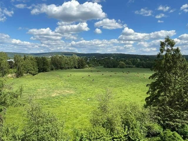 1 bedroom with open-plan kitchen flat for sale, 67 m², Weiden, Bavaria 1 bedroom with open-plan kitchen flat for sale, 67 m², Weiden, Bavaria