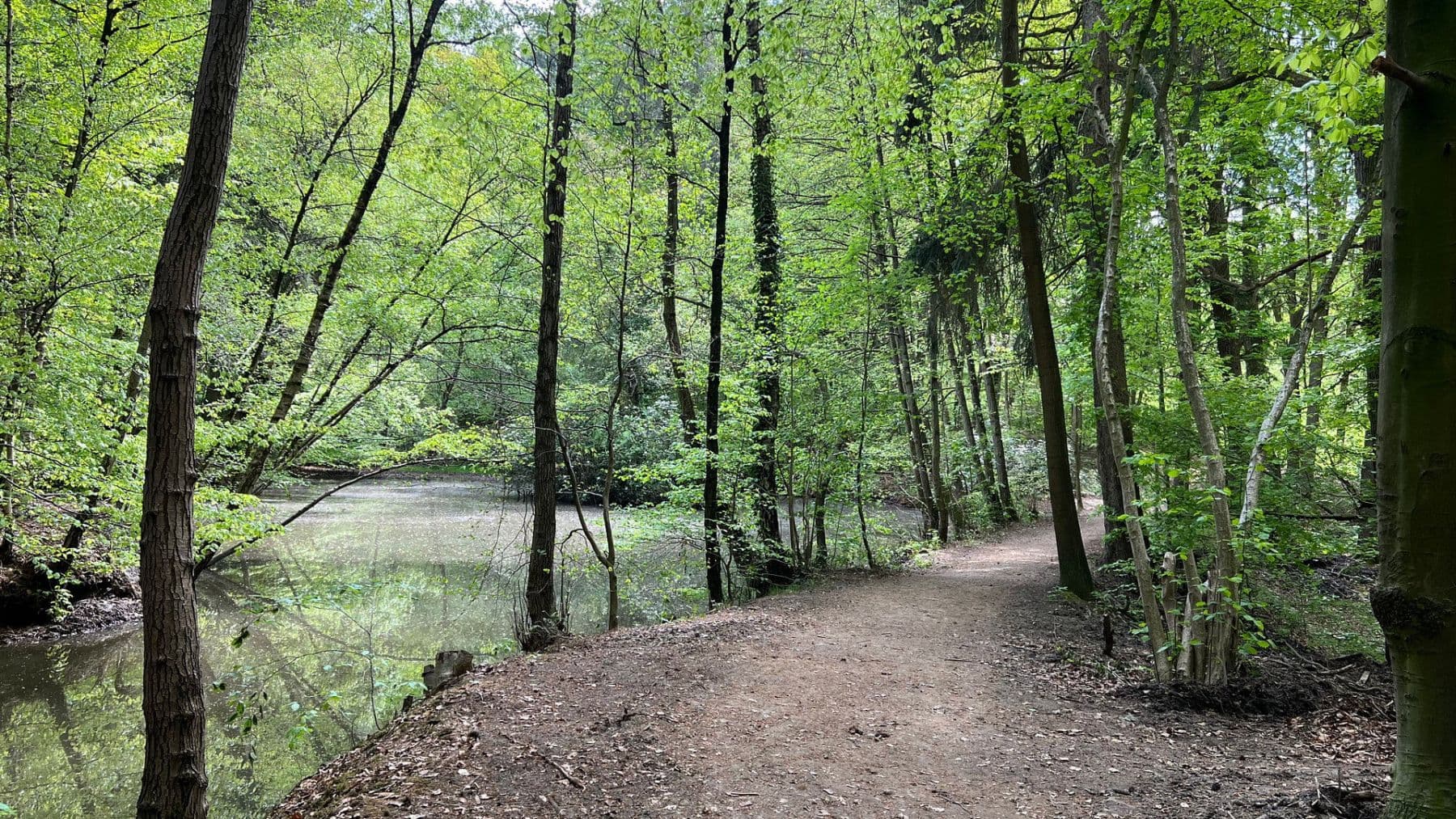 3 bedroom flat to rent, 92 m², Brühlstr. 27b, Wassenberg, North Rhine-Westphalia 3 bedroom flat to rent, 92 m², Brühlstr. 27b, Wassenberg, North Rhine-Westphalia