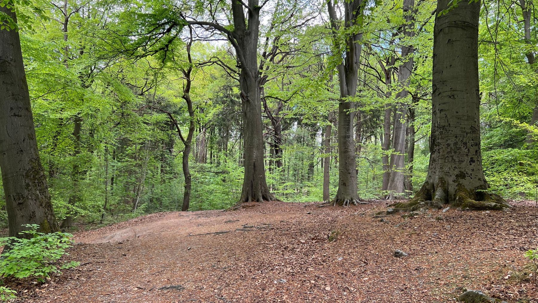 3 bedroom flat to rent, 92 m², Brühlstr. 27b, Wassenberg, North Rhine-Westphalia 3 bedroom flat to rent, 92 m², Brühlstr. 27b, Wassenberg, North Rhine-Westphalia