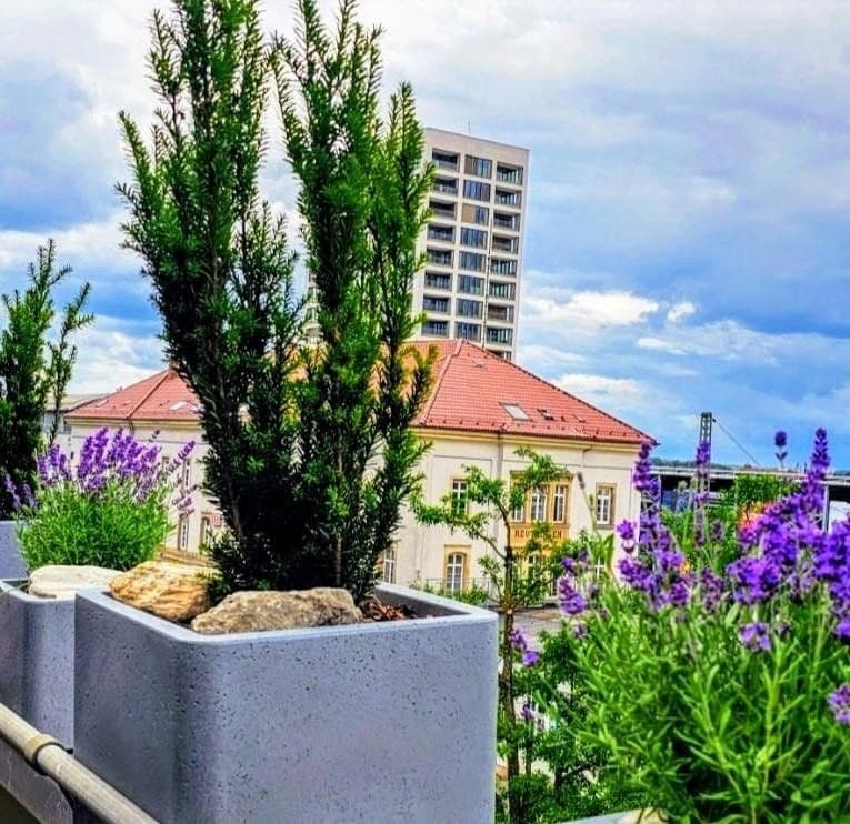 2 bedroom flat for sale, 69 m², Reutlingen, Baden-Württemberg 2 bedroom flat for sale, 69 m², Reutlingen, Baden-Württemberg