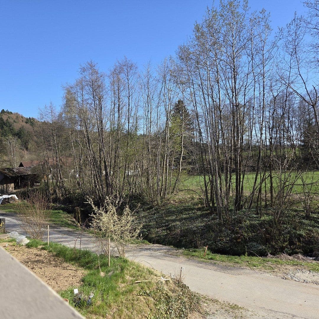 house for sale, 240 m², Auerbach, Bavaria house for sale, 240 m², Auerbach, Bavaria