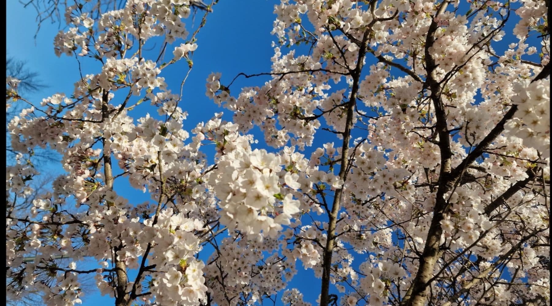 house for sale, 125 m², Tachlovice, Středočeský Region house for sale, 125 m², Tachlovice, Středočeský Region