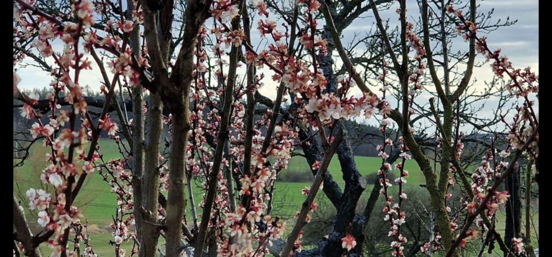 house for sale, 125 m², Tachlovice, Středočeský Region house for sale, 125 m², Tachlovice, Středočeský Region