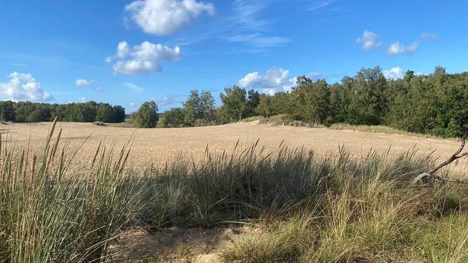 3 bedroom flat for sale, 96 m², Reinbeker Redder 57a, Hamburg, Hamburg 3 bedroom flat for sale, 96 m², Reinbeker Redder 57a, Hamburg, Hamburg