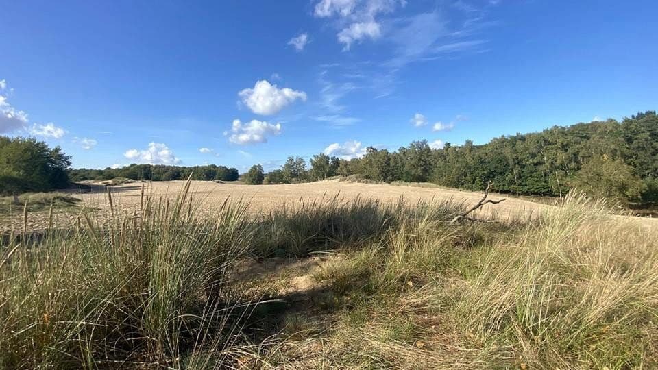 2 bedroom with open-plan kitchen flat for sale, 153 m², Reinbeker Redder 57a, Hamburg, Hamburg 2 bedroom with open-plan kitchen flat for sale, 153 m², Reinbeker Redder 57a, Hamburg, Hamburg