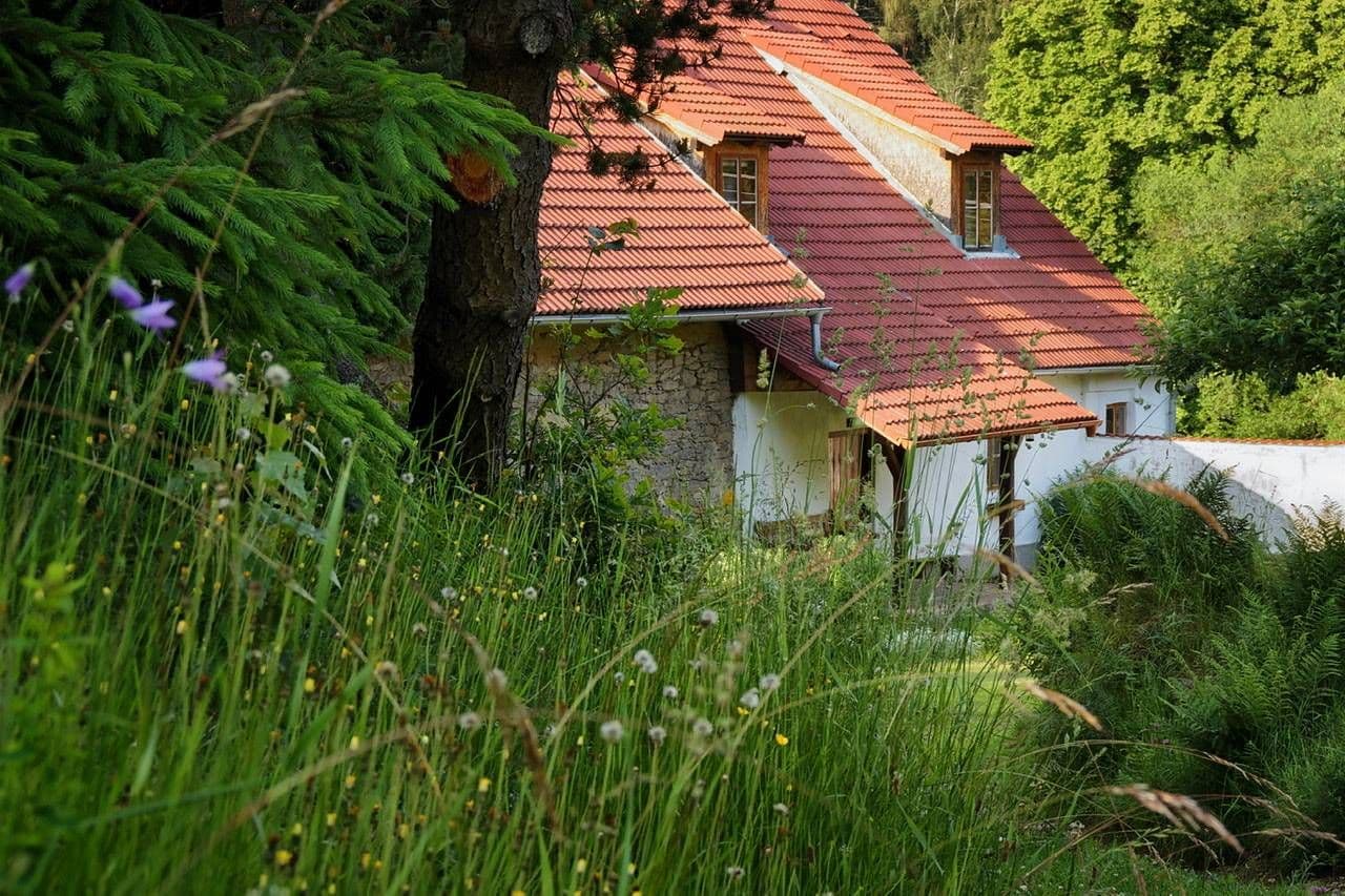 recreational property to rent, 0 m², Benešov nad Černou, Jihočeský Region recreational property to rent, 0 m², Benešov nad Černou, Jihočeský Region