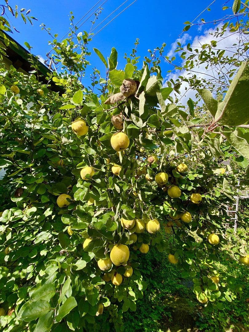 house for sale, 240 m², Panoramaweg 15, Rudersberg, Baden-Württemberg house for sale, 240 m², Panoramaweg 15, Rudersberg, Baden-Württemberg