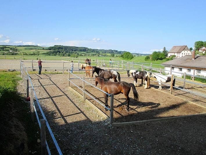 plot for sale, 94,000 m², Meßkirch, Baden-Württemberg plot for sale, 94,000 m², Meßkirch, Baden-Württemberg