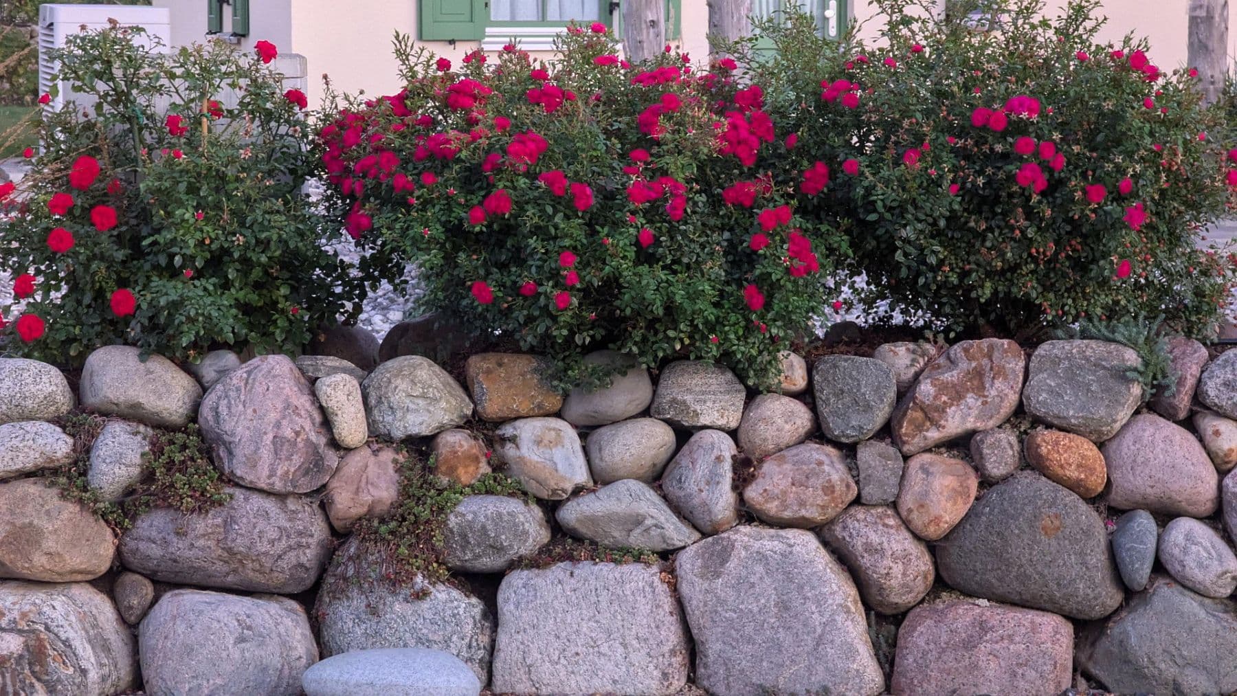 house for sale, 88 m², Prohn, Mecklenburg-Vorpommern house for sale, 88 m², Prohn, Mecklenburg-Vorpommern