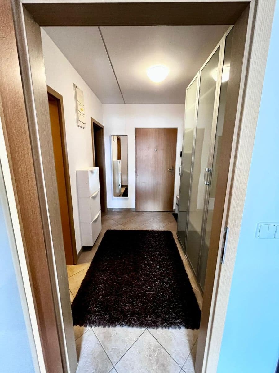 1 bedroom with open-plan kitchen flat to rent, 41 m², Vorařská, Prague, Prague 1 bedroom with open-plan kitchen flat to rent, 41 m², Vorařská, Prague, Prague