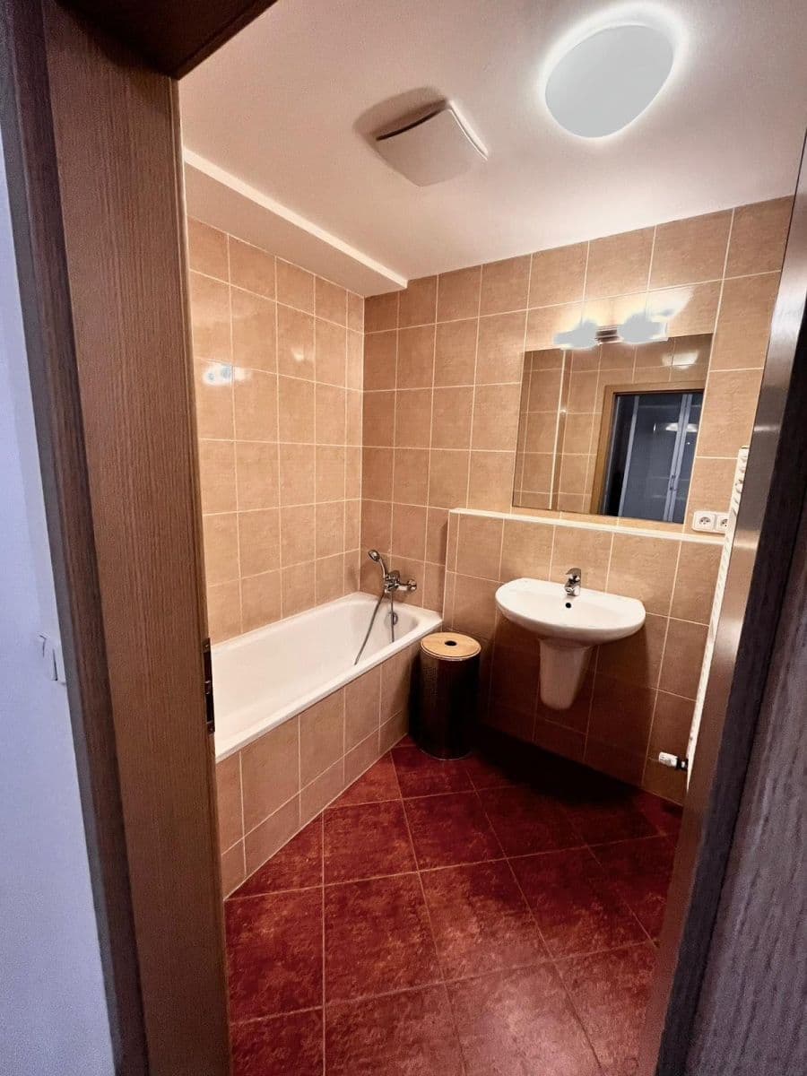 1 bedroom with open-plan kitchen flat to rent, 41 m², Vorařská, Prague, Prague 1 bedroom with open-plan kitchen flat to rent, 41 m², Vorařská, Prague, Prague