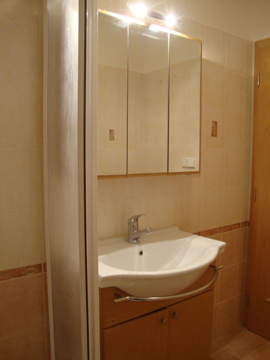 1 bedroom with open-plan kitchen flat to rent, 55 m², Sudoměřská, Prague, Prague 1 bedroom with open-plan kitchen flat to rent, 55 m², Sudoměřská, Prague, Prague