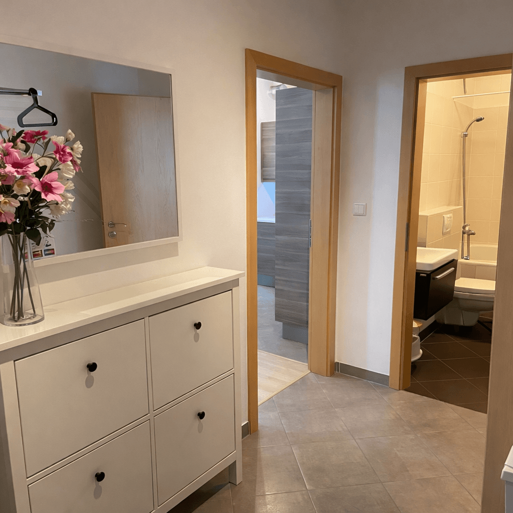 1 bedroom with open-plan kitchen flat to rent, 49 m², Musílkova, Prague, Prague 1 bedroom with open-plan kitchen flat to rent, 49 m², Musílkova, Prague, Prague