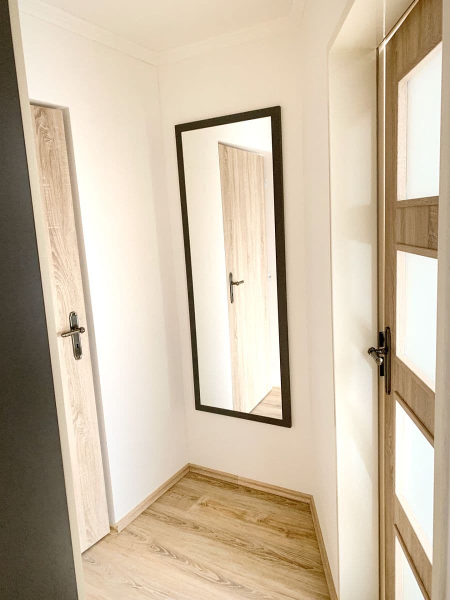 1 bedroom with open-plan kitchen flat to rent, 41 m², Světova, Prague, Prague 1 bedroom with open-plan kitchen flat to rent, 41 m², Světova, Prague, Prague