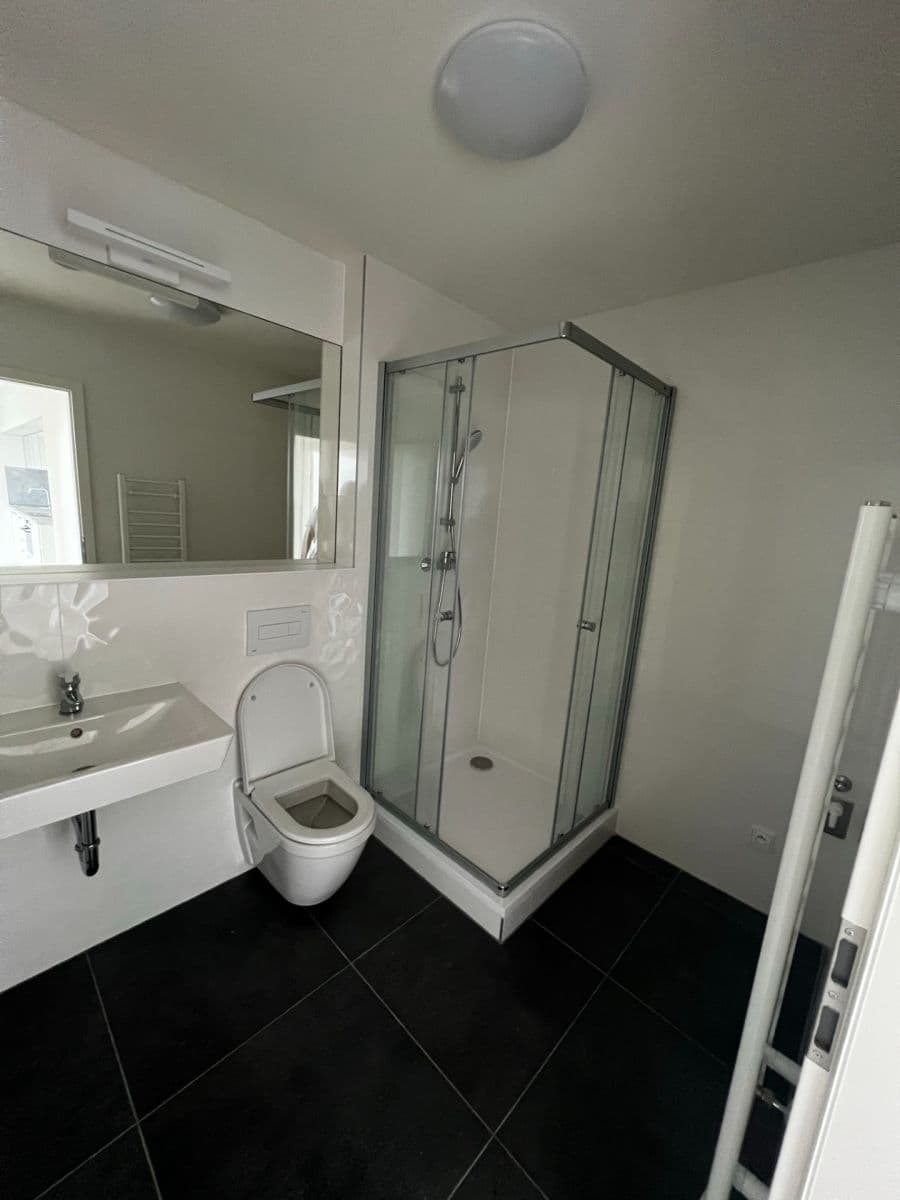 1 bedroom with open-plan kitchen flat for sale, 41 m², Poděbradská, Prague, Prague 1 bedroom with open-plan kitchen flat for sale, 41 m², Poděbradská, Prague, Prague