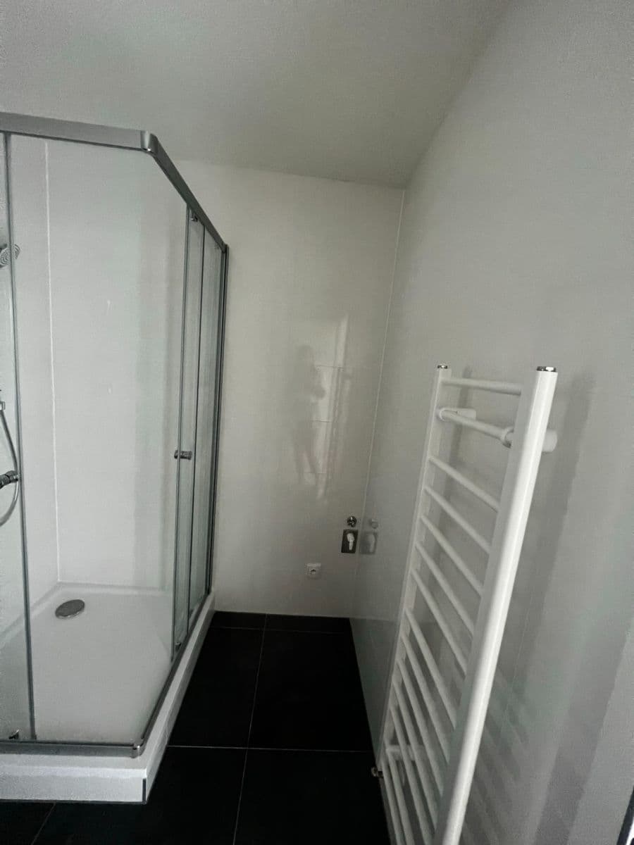 1 bedroom with open-plan kitchen flat for sale, 41 m², Poděbradská, Prague, Prague 1 bedroom with open-plan kitchen flat for sale, 41 m², Poděbradská, Prague, Prague