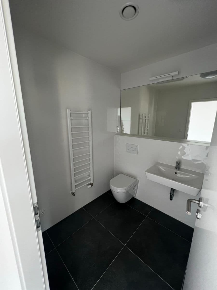 1 bedroom with open-plan kitchen flat for sale, 49 m², Poděbradská, Prague, Prague 1 bedroom with open-plan kitchen flat for sale, 49 m², Poděbradská, Prague, Prague