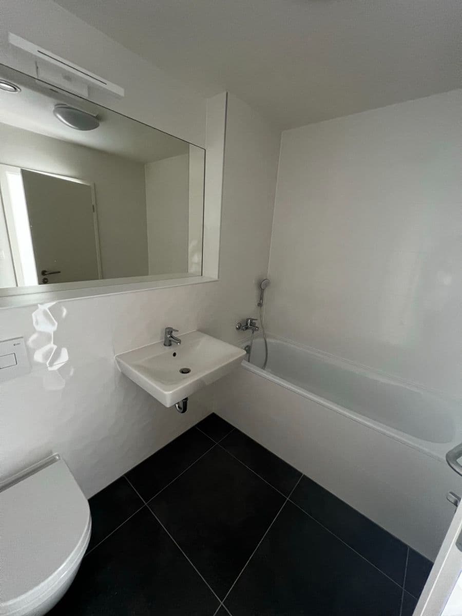 1 bedroom with open-plan kitchen flat for sale, 49 m², Poděbradská, Prague, Prague 1 bedroom with open-plan kitchen flat for sale, 49 m², Poděbradská, Prague, Prague