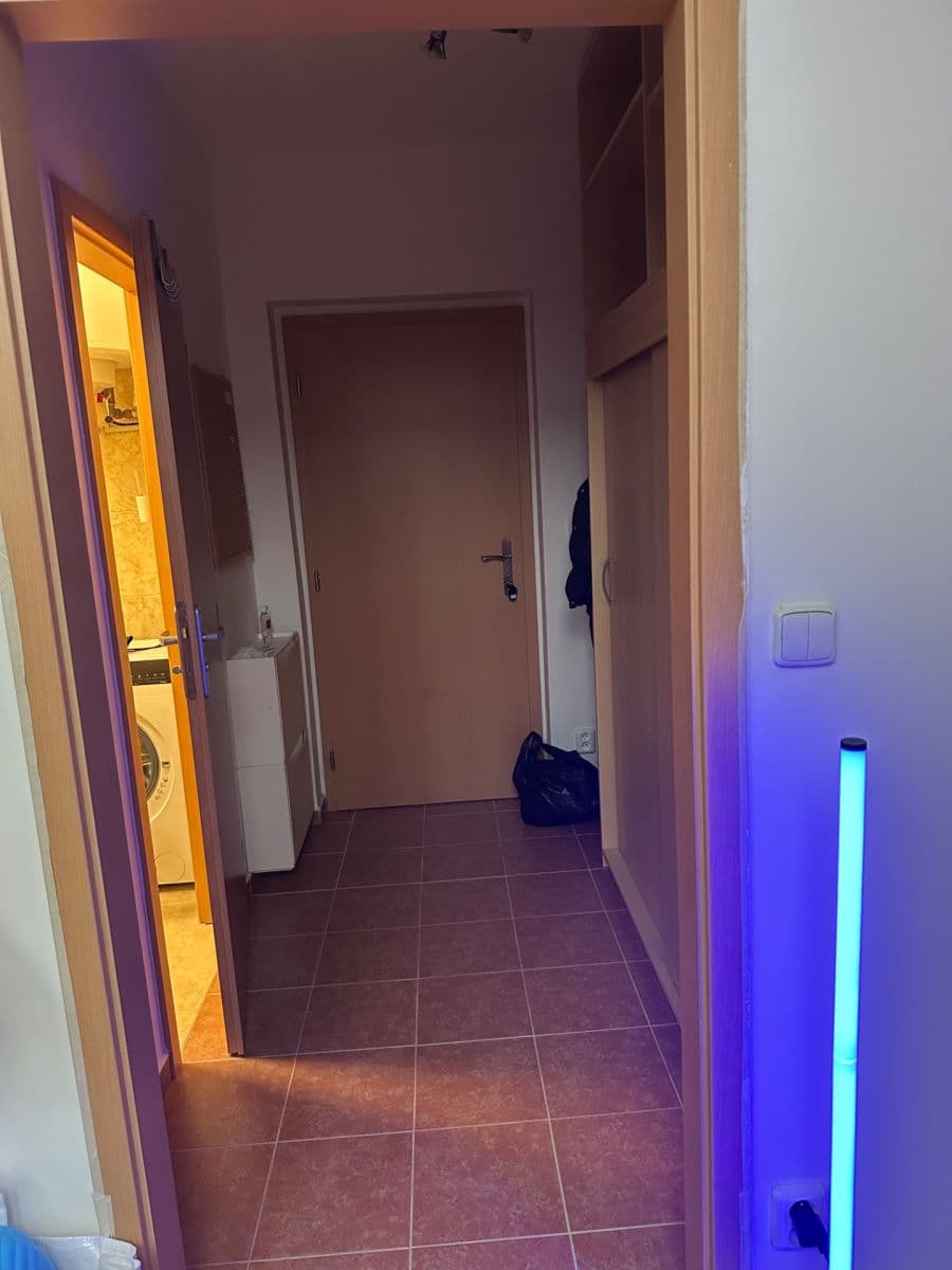 Studio flat to rent, 31 m², Slapy, Středočeský Region Studio flat to rent, 31 m², Slapy, Středočeský Region