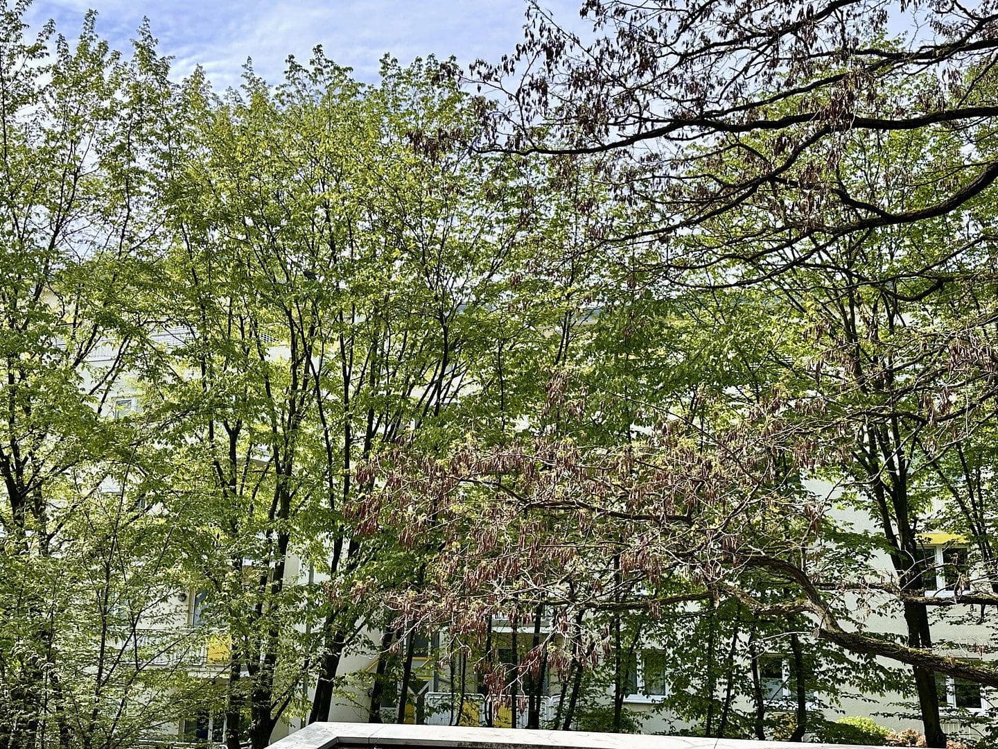 4 bedroom flat to rent, 105 m², Nesselrodestr. 18 b, Köln, North Rhine-Westphalia 4 bedroom flat to rent, 105 m², Nesselrodestr. 18 b, Köln, North Rhine-Westphalia