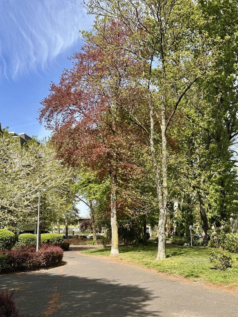 4 bedroom flat to rent, 105 m², Nesselrodestr. 18 b, Köln, North Rhine-Westphalia 4 bedroom flat to rent, 105 m², Nesselrodestr. 18 b, Köln, North Rhine-Westphalia