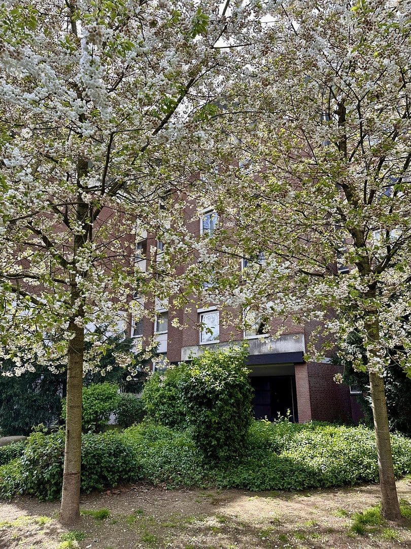 4 bedroom flat to rent, 105 m², Nesselrodestr. 18 b, Köln, North Rhine-Westphalia 4 bedroom flat to rent, 105 m², Nesselrodestr. 18 b, Köln, North Rhine-Westphalia