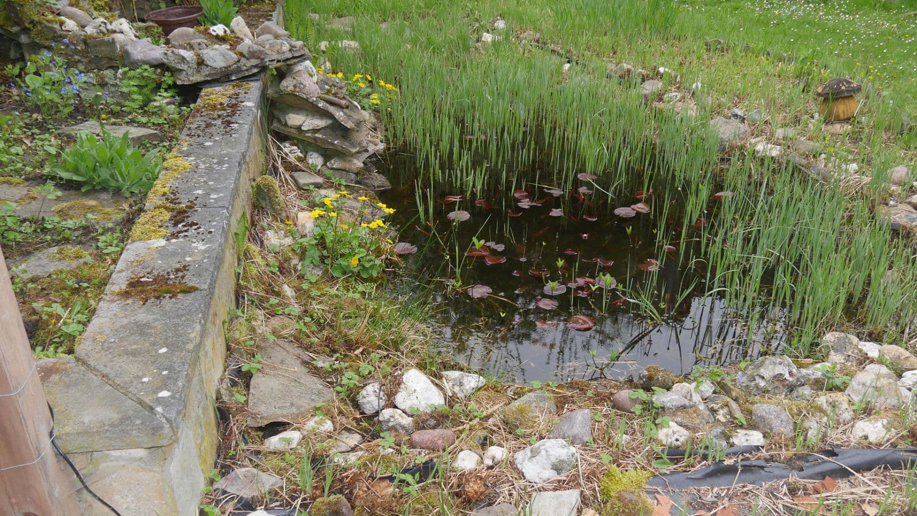 house to rent, 145 m², Ratingen, North Rhine-Westphalia house to rent, 145 m², Ratingen, North Rhine-Westphalia