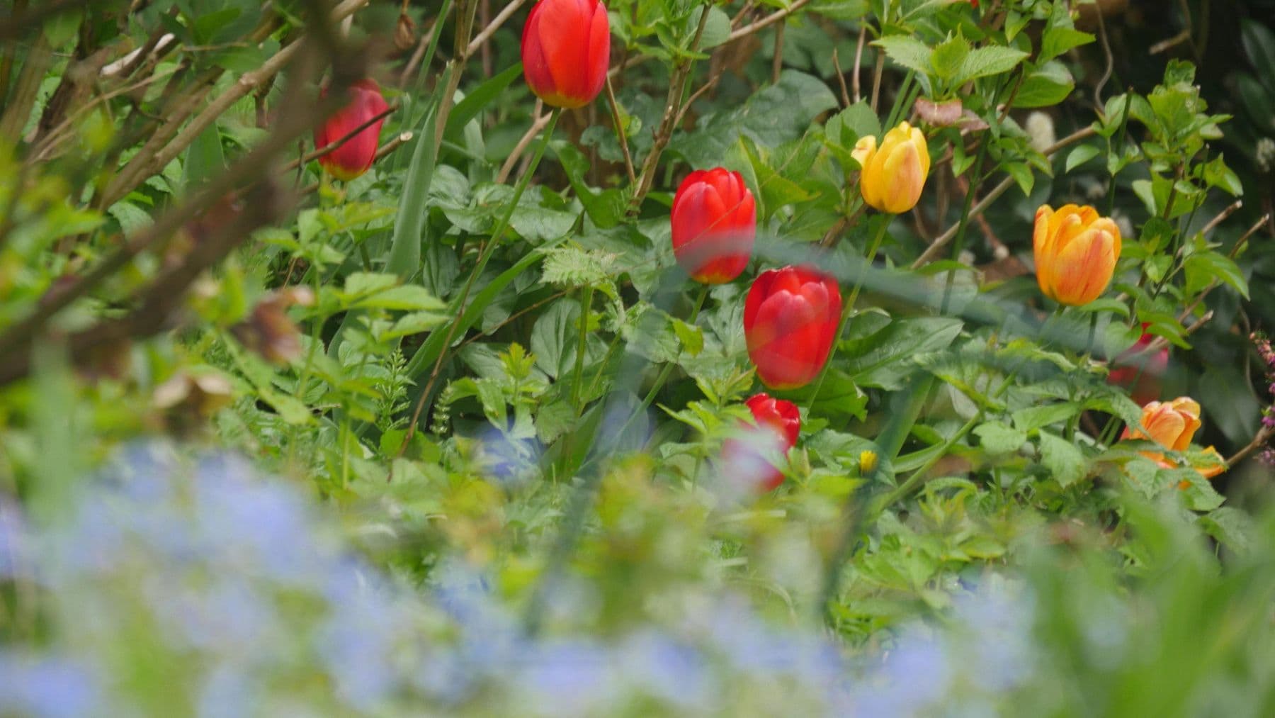 house to rent, 145 m², Ratingen, North Rhine-Westphalia house to rent, 145 m², Ratingen, North Rhine-Westphalia