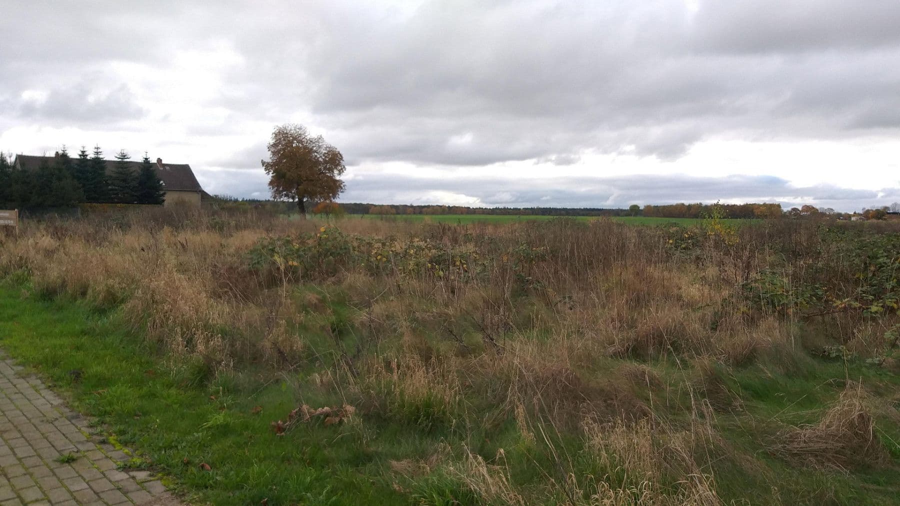 plot for sale, 2,270 m², Loitzer Strasse 3c, Süderholz, Mecklenburg-Vorpommern plot for sale, 2,270 m², Loitzer Strasse 3c, Süderholz, Mecklenburg-Vorpommern