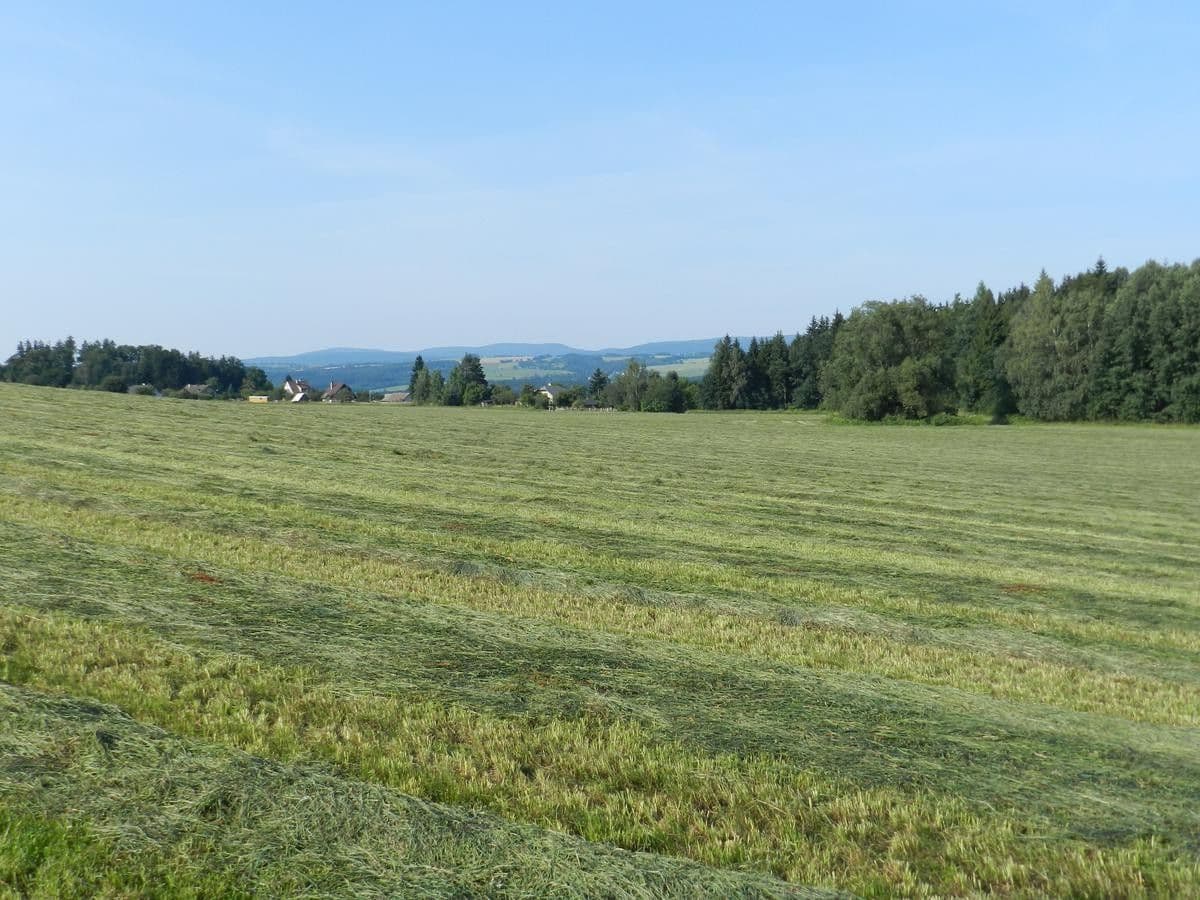 plot for sale, 43,627 m², Slatina nad Zdobnicí, Královéhradecký Region plot for sale, 43,627 m², Slatina nad Zdobnicí, Královéhradecký Region