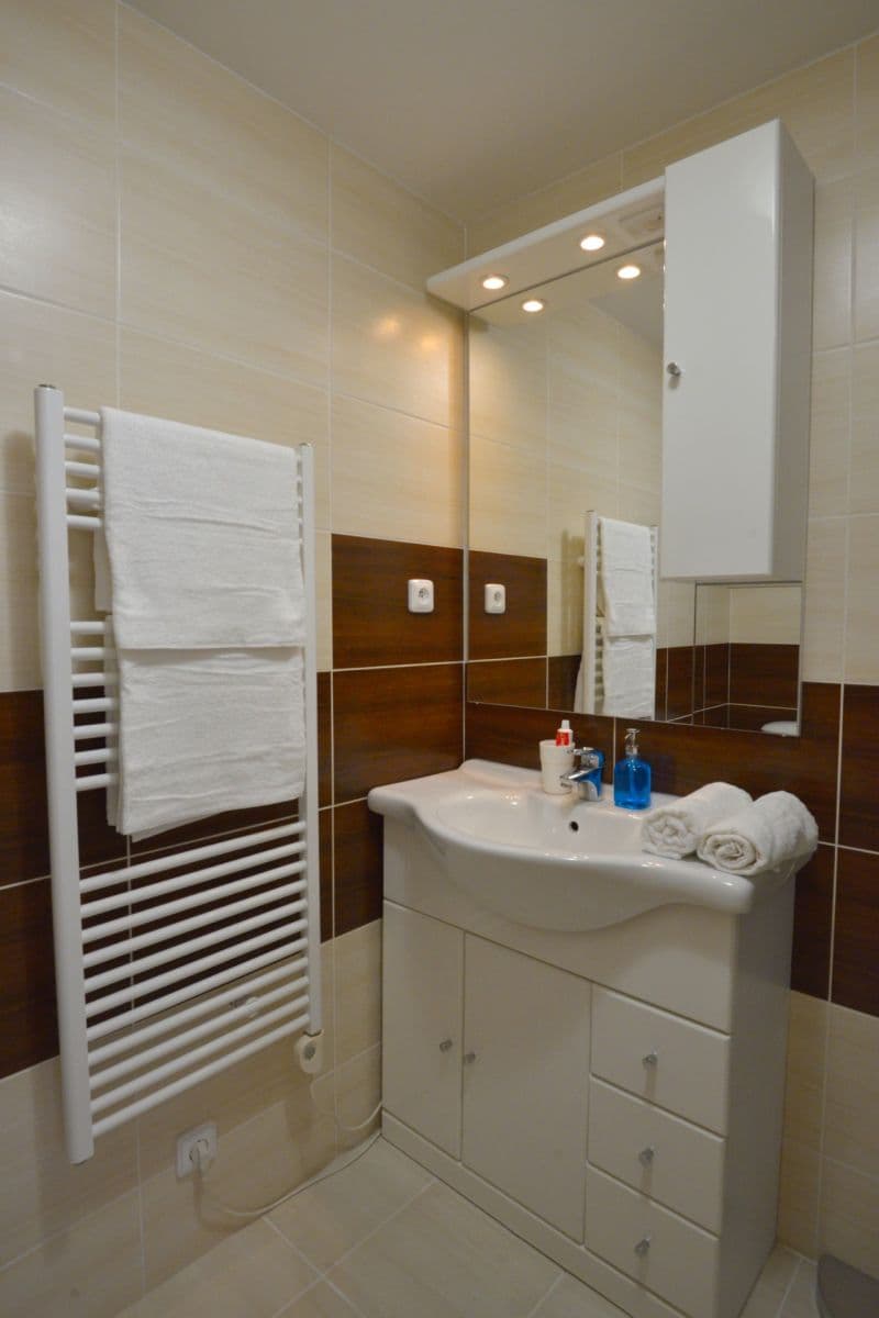 1 bedroom with open-plan kitchen flat to rent, 52 m², Blahníkova, Prague, Prague 1 bedroom with open-plan kitchen flat to rent, 52 m², Blahníkova, Prague, Prague