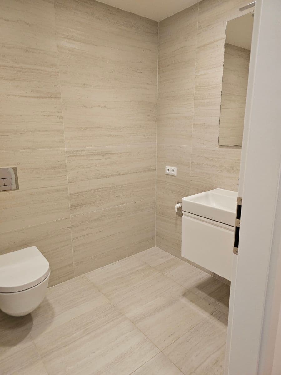 1 bedroom with open-plan kitchen flat to rent, 50 m², Poděbradská, Prague, Prague 1 bedroom with open-plan kitchen flat to rent, 50 m², Poděbradská, Prague, Prague