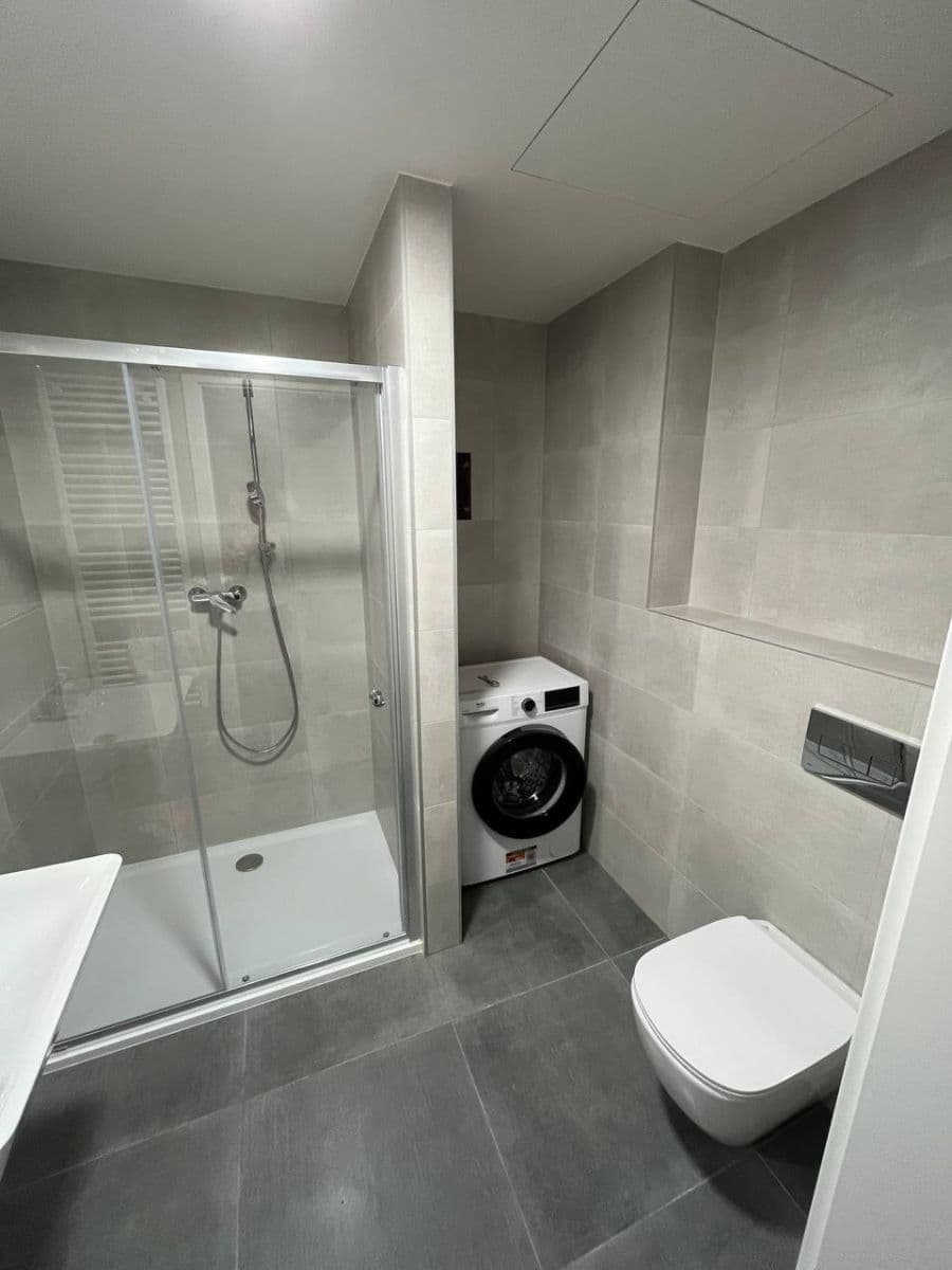 1 bedroom with open-plan kitchen flat to rent, 46 m², Hodkovická, Prague, Prague 1 bedroom with open-plan kitchen flat to rent, 46 m², Hodkovická, Prague, Prague